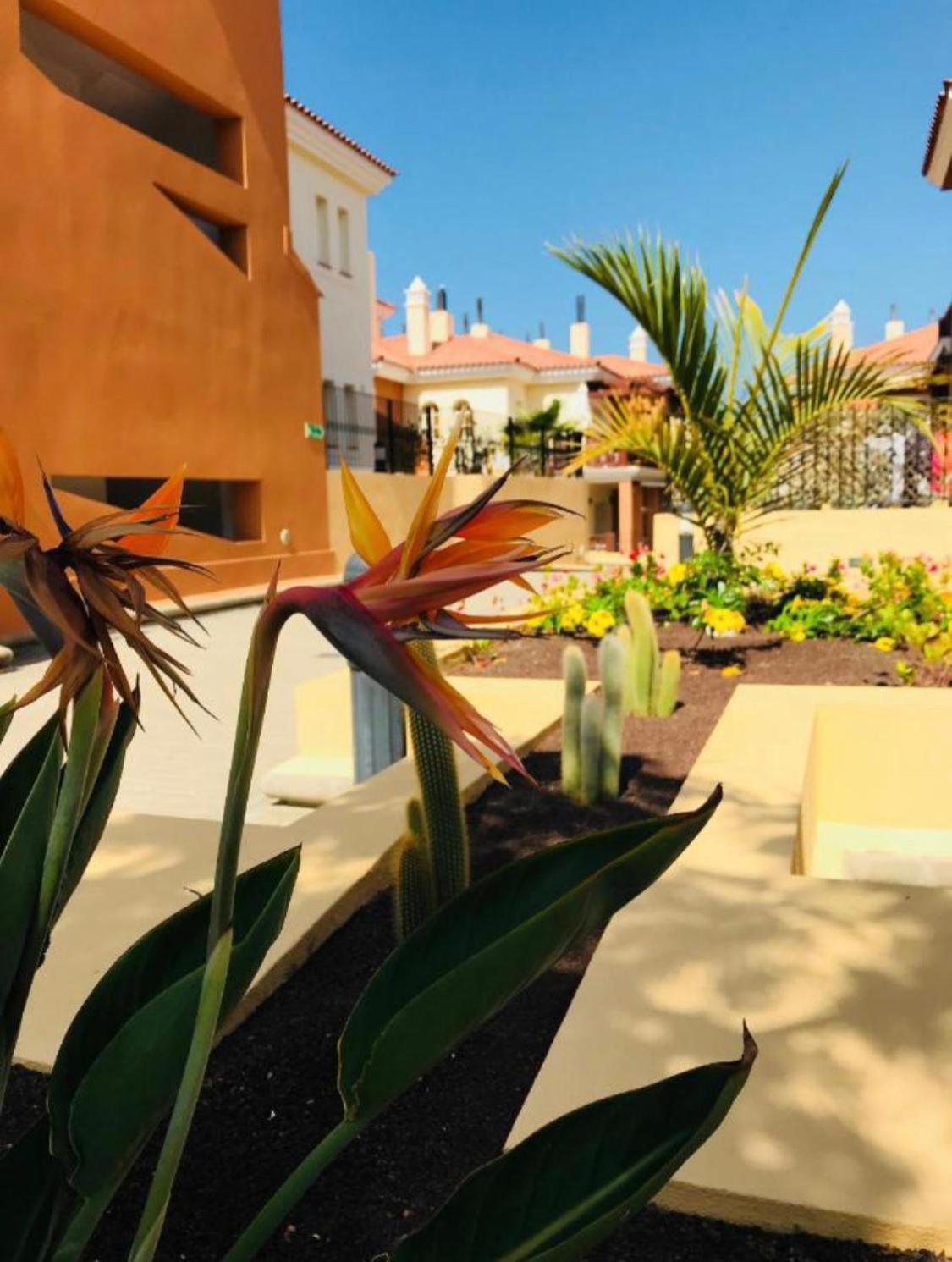 شقة Selena Luxury Monte Carrera لا بلايا ذي أرغينيك المظهر الخارجي الصورة